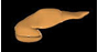 suizou1.gif