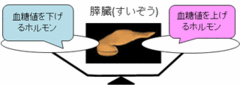 suizou2.gif